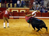 The Portuguese bullight consists of two acts.  The first involves a horse rider dressed in 18th century costume dominating the bull with his horsemanship, the second act involves the Forcados.  The forcados are all volunteers who join teams across the country with the hope of making the perfect 'pega' (the grab) in the bullfighting arena.  Dressed in traditional field clothing, each team is made up of 8 forcados, of which one will be chosen during the bullfight to attempt at grabbing the charging bull by the horns.  Once engaged, the rest of the team will jump on the bull in an attempt to control the animal.  Unlink the bullfights in Spain, the bull is not killed in the ring and each bullfight always end with the forcados taking on the bull.   PETER PEREIRA